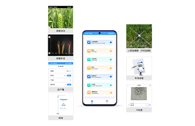 贺州市小麦表型检测仪IN-XM04