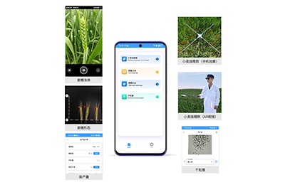 贺州市小麦亩穗数分析仪IN-XM02